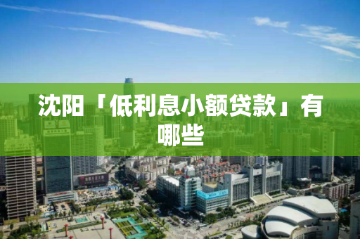 沈阳「低利息小额贷款」有哪些 沈阳「低利息小额贷款」有哪些