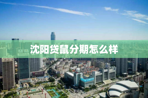 沈阳贷鼠分期怎么样 沈阳贷鼠分期怎么样