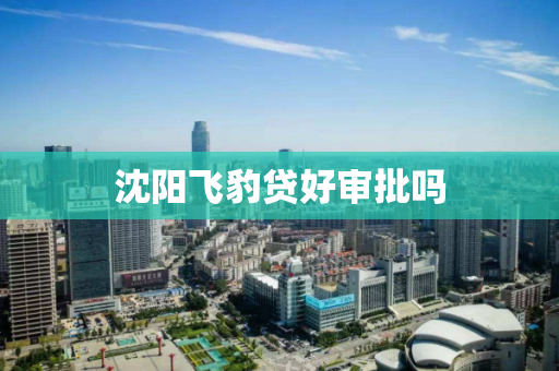 沈阳飞豹贷好审批吗