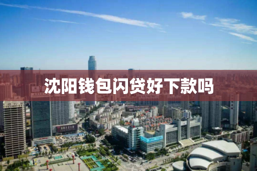 沈阳钱包闪贷好下款吗