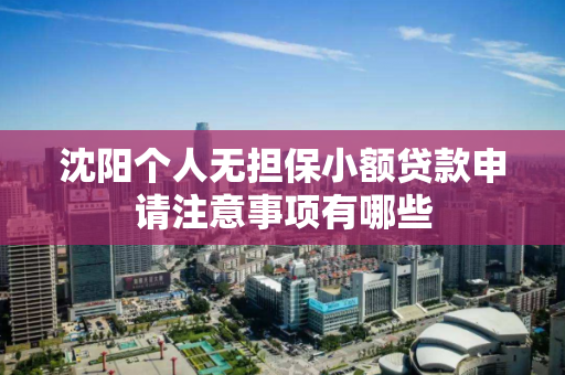 沈阳个人无担保小额贷款申请注意事项有哪些