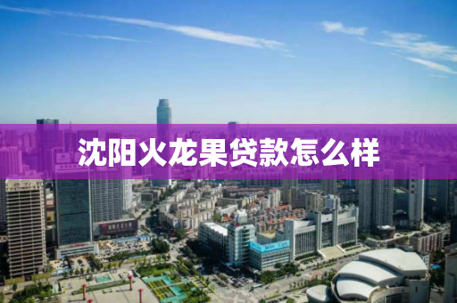 沈阳火龙果贷款怎么样