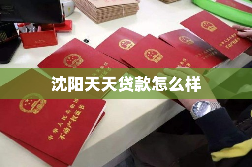 沈阳天天贷款怎么样