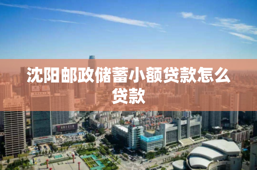 沈阳邮政储蓄小额贷款怎么贷款