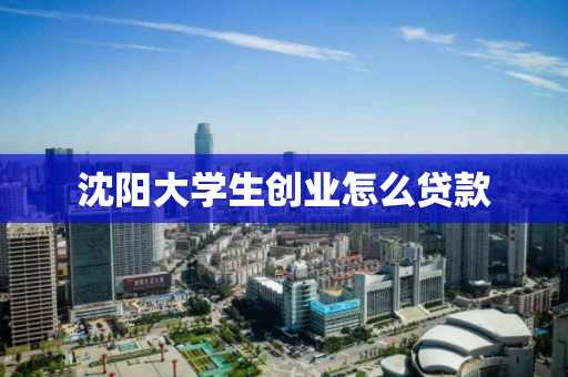 沈阳大学生创业怎么贷款 沈阳大学生创业怎么贷款