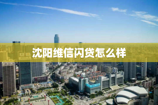 沈阳维信闪贷怎么样