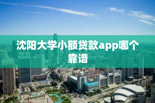 沈阳大学小额贷款app哪个靠谱