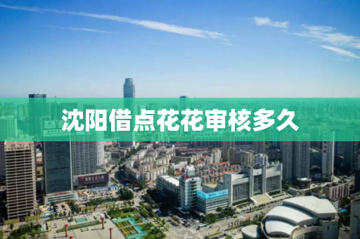 沈阳借点花花审核多久