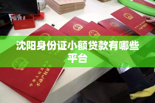 沈阳身份证小额贷款有哪些平台 沈阳身份证小额贷款有哪些平台