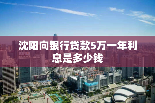 沈阳向银行贷款5万一年利息是多少钱