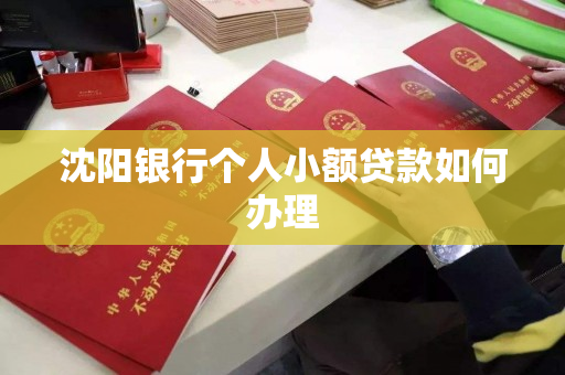 沈阳银行个人小额贷款如何办理 沈阳银行个人小额贷款如何办理