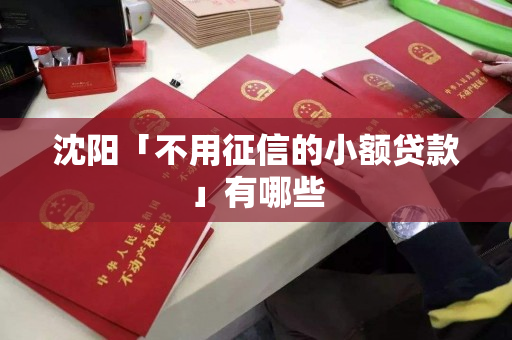沈阳「不用征信的小额贷款」有哪些 沈阳「不用征信的小额贷款」有哪些