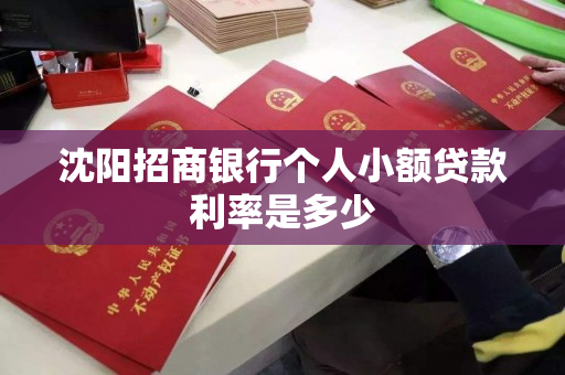 沈阳招商银行个人小额贷款利率是多少 沈阳招商银行个人小额贷款利率是多少