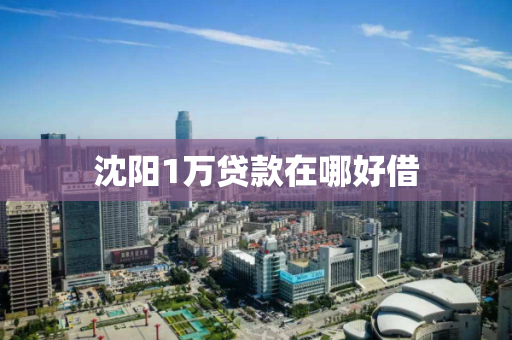 沈阳1万贷款在哪好借