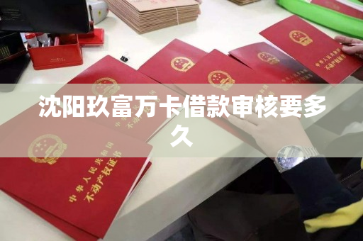 沈阳玖富万卡借款审核要多久