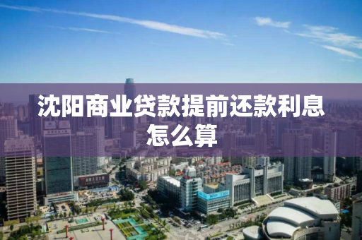 沈阳商业贷款提前还款利息怎么算 沈阳商业贷款提前还款利息怎么算