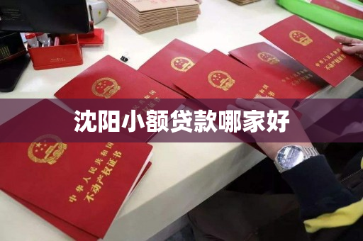 沈阳小额贷款哪家好