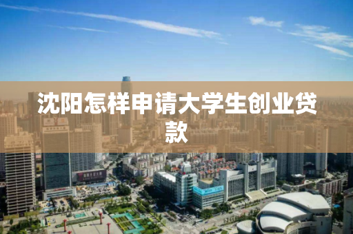 沈阳怎样申请大学生创业贷款