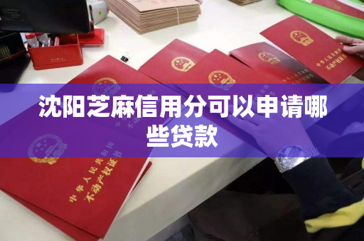 沈阳芝麻信用分可以申请哪些贷款