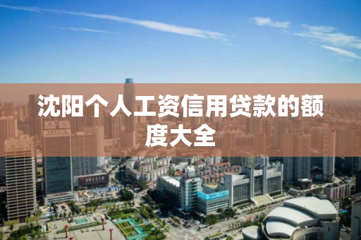 沈阳个人工资信用贷款的额度大全