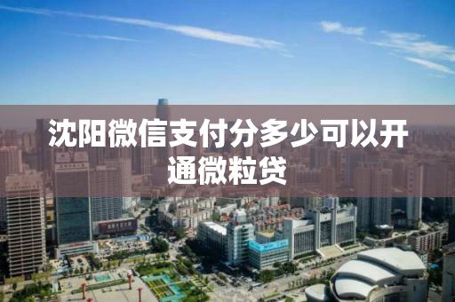 沈阳微信支付分多少可以开通微粒贷