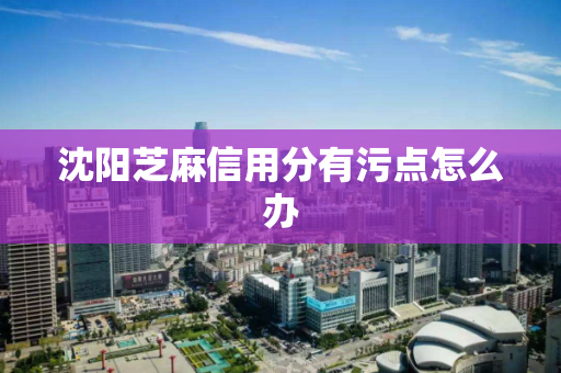 沈阳芝麻信用分有污点怎么办 沈阳芝麻信用分有污点怎么办