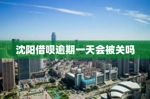 沈阳借呗逾期一天会被关吗