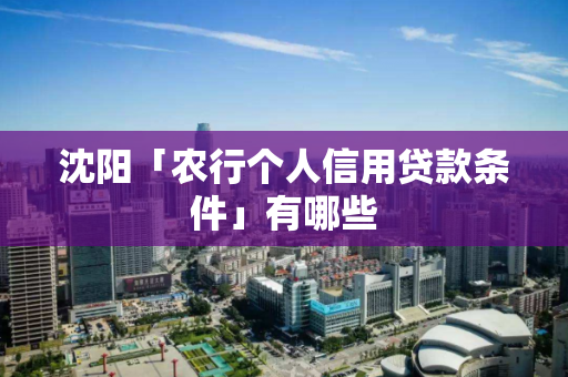 沈阳「农行个人信用贷款条件」有哪些