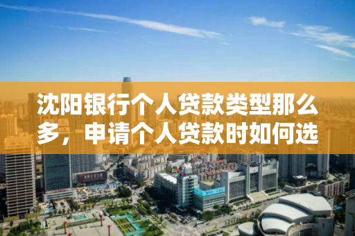 沈阳银行个人贷款类型那么多，申请个人贷款时如何选择？
