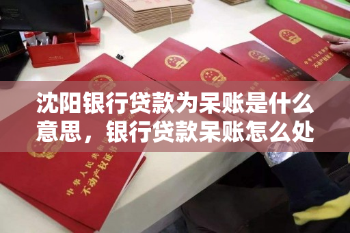 沈阳银行贷款为呆账是什么意思，银行贷款呆账怎么处理