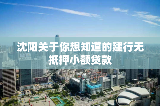 沈阳关于你想知道的建行无抵押小额贷款 沈阳关于你想知道的建行无抵押小额贷款