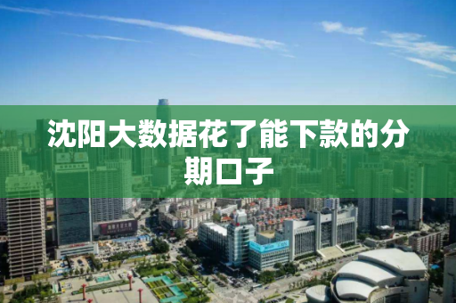 沈阳大数据花了能下款的分期口子