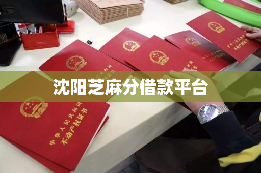 沈阳芝麻分借款平台