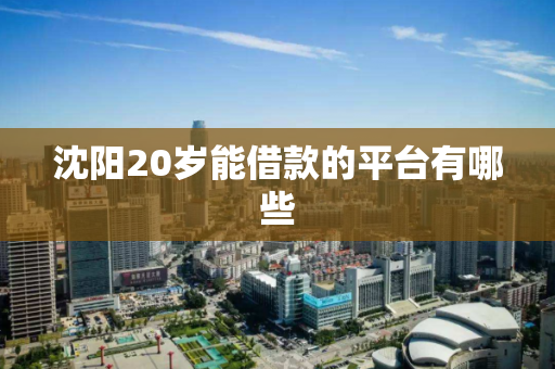 沈阳20岁能借款的平台有哪些