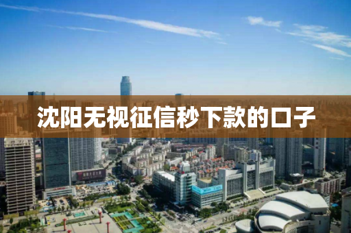 沈阳无视征信秒下款的口子