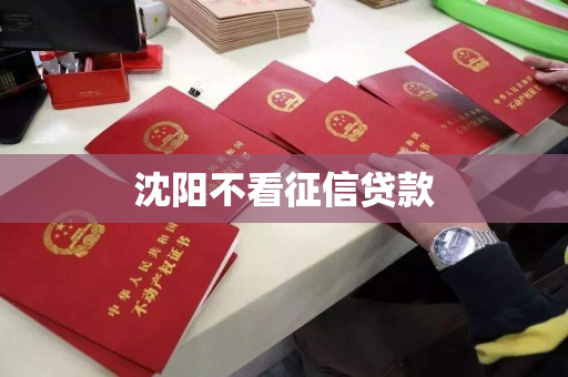 沈阳不看征信贷款