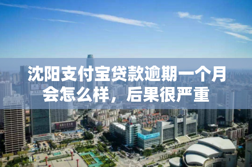 沈阳支付宝贷款逾期一个月会怎么样，后果很严重