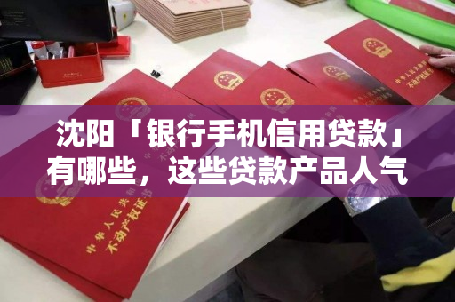 沈阳「银行手机信用贷款」有哪些,这些贷款产品人气很高 沈阳「银行手机信用贷款」有哪些,这些贷款产品人气很高