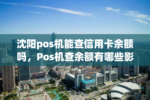 沈阳pos机能查信用卡余额吗，Pos机查余额有哪些影响