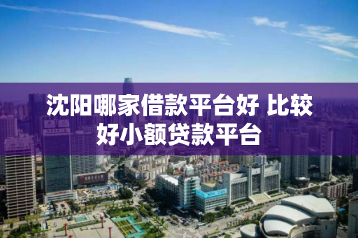 沈阳哪家借款平台好 比较好小额贷款平台