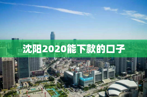 沈阳2020能下款的口子