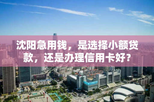 沈阳急用钱,是选择小额贷款,还是办理信用卡好? 沈阳急用钱,是选择小额贷款,还是办理信用卡好?