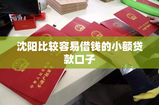 沈阳比较容易借钱的小额贷款口子