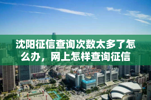 沈阳征信查询次数太多了怎么办，网上怎样查询征信