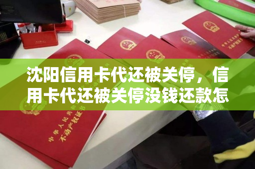 沈阳信用卡代还被关停,信用卡代还被关停没钱还款怎么办 沈阳信用卡代还被关停,信用卡代还被关停没钱还款怎么办