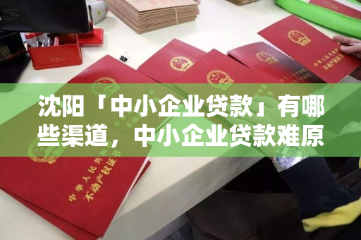 沈阳「中小企业贷款」有哪些渠道，中小企业贷款难原因大汇总