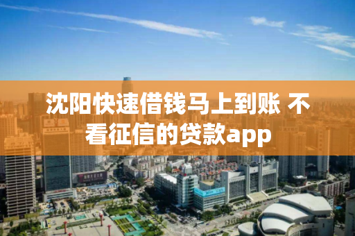 沈阳快速借钱马上到账 不看征信的贷款app