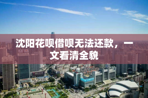 沈阳花呗借呗无法还款，一文看清全貌