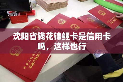 沈阳省钱花锦鲤卡是信用卡吗，这样也行