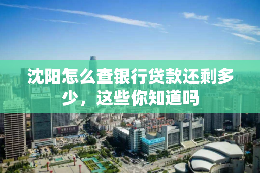 沈阳怎么查银行贷款还剩多少,这些你知道吗 沈阳怎么查银行贷款还剩多少,这些你知道吗